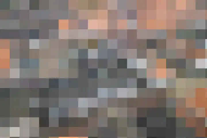 Burg ten Veldestr 41 Genemuiden thumbnail 41