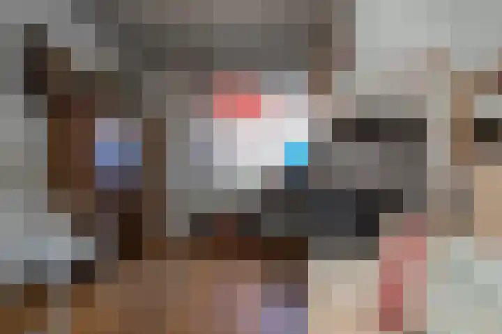 Burg ten Veldestr 49 Genemuiden thumbnail 11