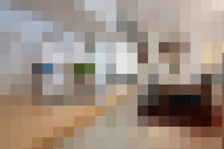Burg ten Veldestr 49 Genemuiden thumbnail 13