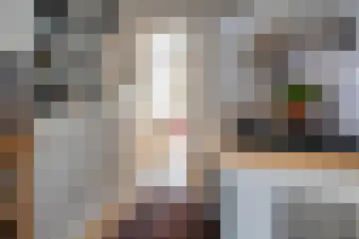 Burg ten Veldestr 49 Genemuiden thumbnail 14