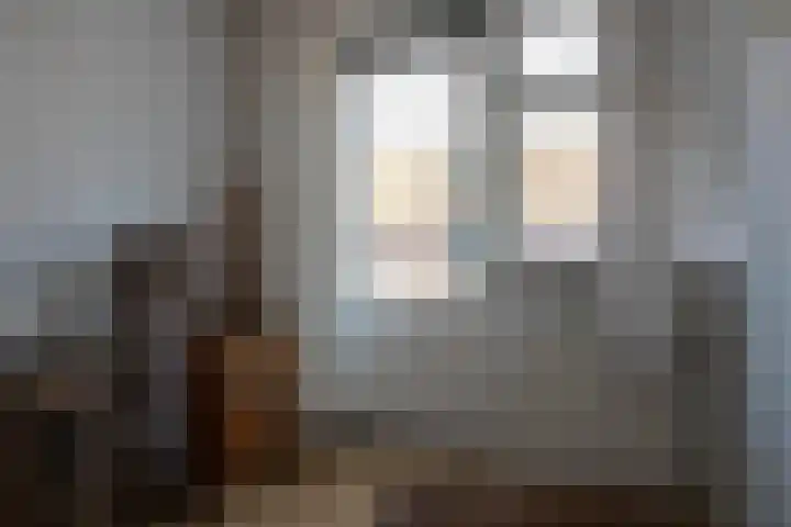 Burg ten Veldestr 49 Genemuiden thumbnail 22