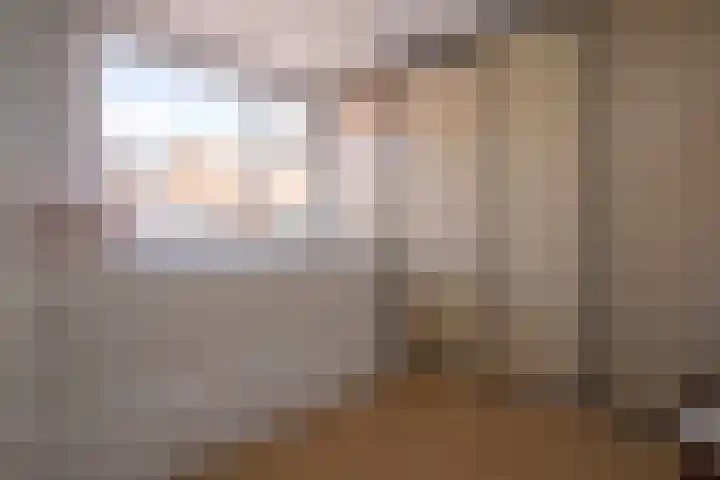 Burg ten Veldestr 49 Genemuiden thumbnail 26