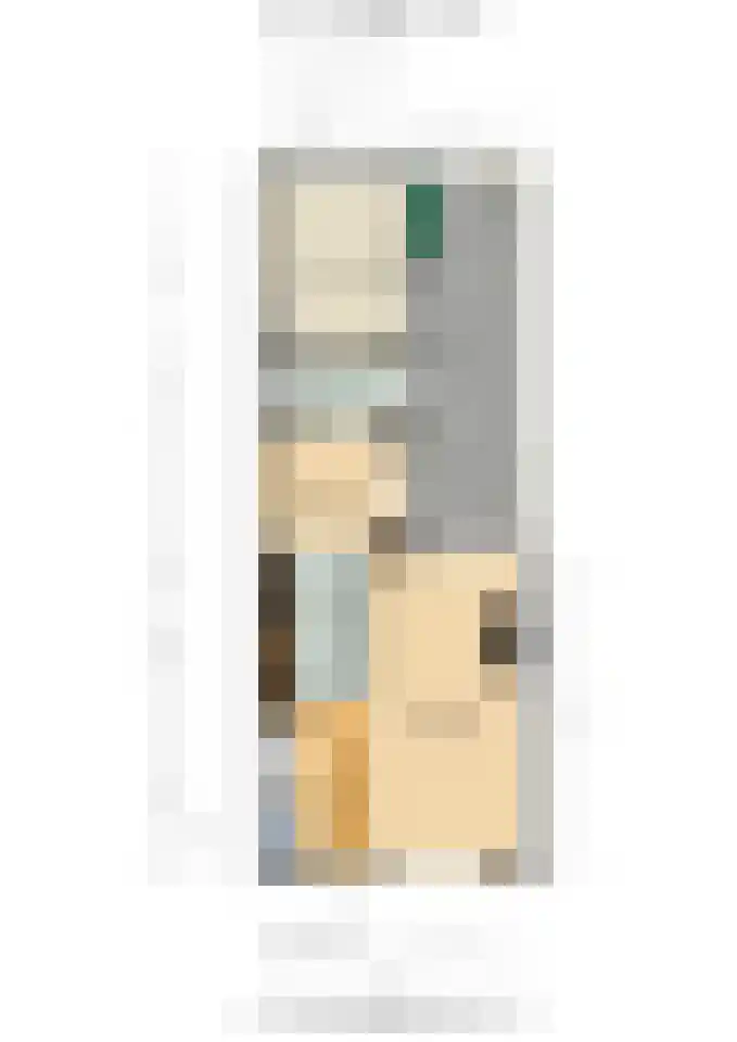 Burg ten Veldestr 49 Genemuiden thumbnail 30