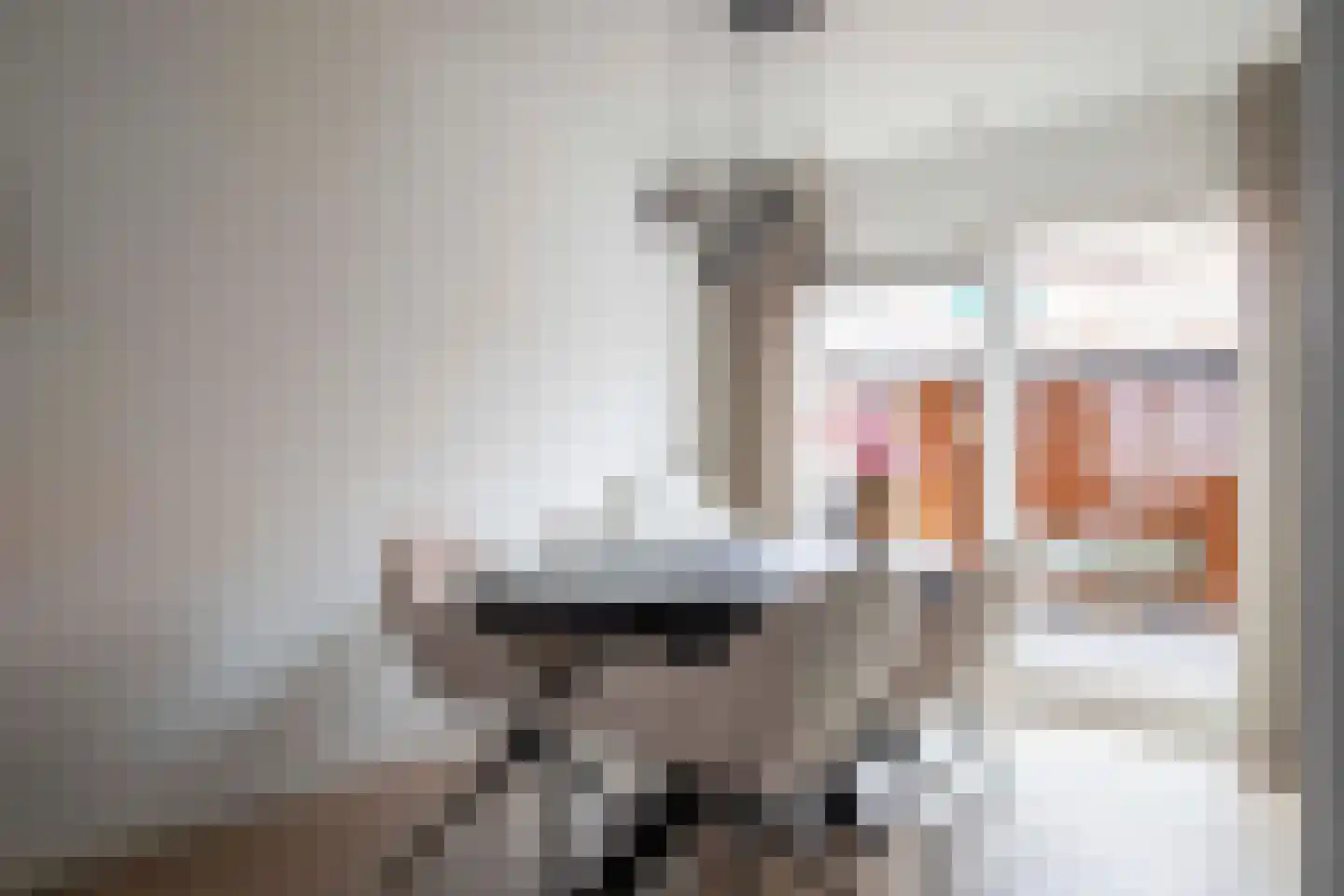 Burg ten Veldestr 55 Genemuiden thumbnail 17