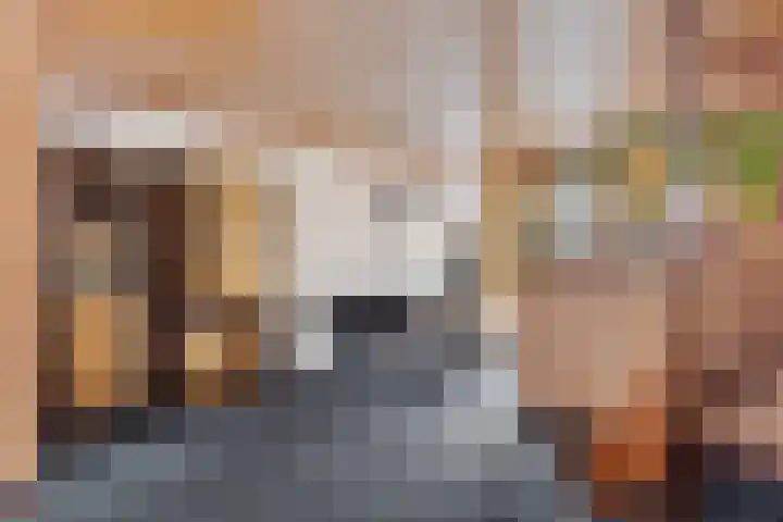 Burg ten Veldestr 95 Genemuiden thumbnail 11