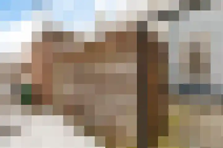 Burg ten Veldestr 95 Genemuiden thumbnail 15