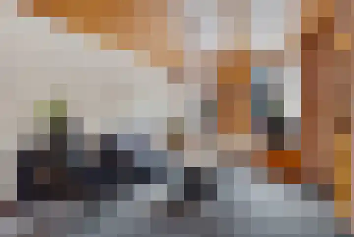 Burg ten Veldestr 95 Genemuiden thumbnail 9