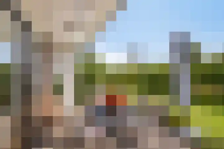 Burg Termeerstraat 18 Grubbenvorst thumbnail 43