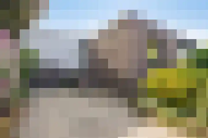 Burg Termeerstraat 18 Grubbenvorst thumbnail 5
