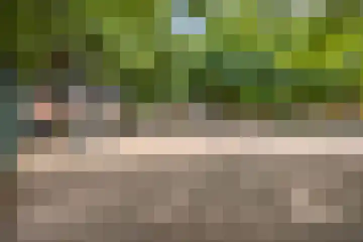 Burg Termeerstraat 18 Grubbenvorst thumbnail 51