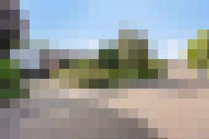 Burg Termeerstraat 18 Grubbenvorst thumbnail 6
