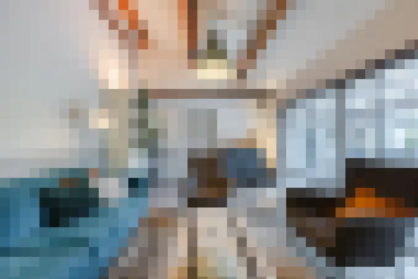 Burg Thijssenstraat 27 Beers NB thumbnail 13
