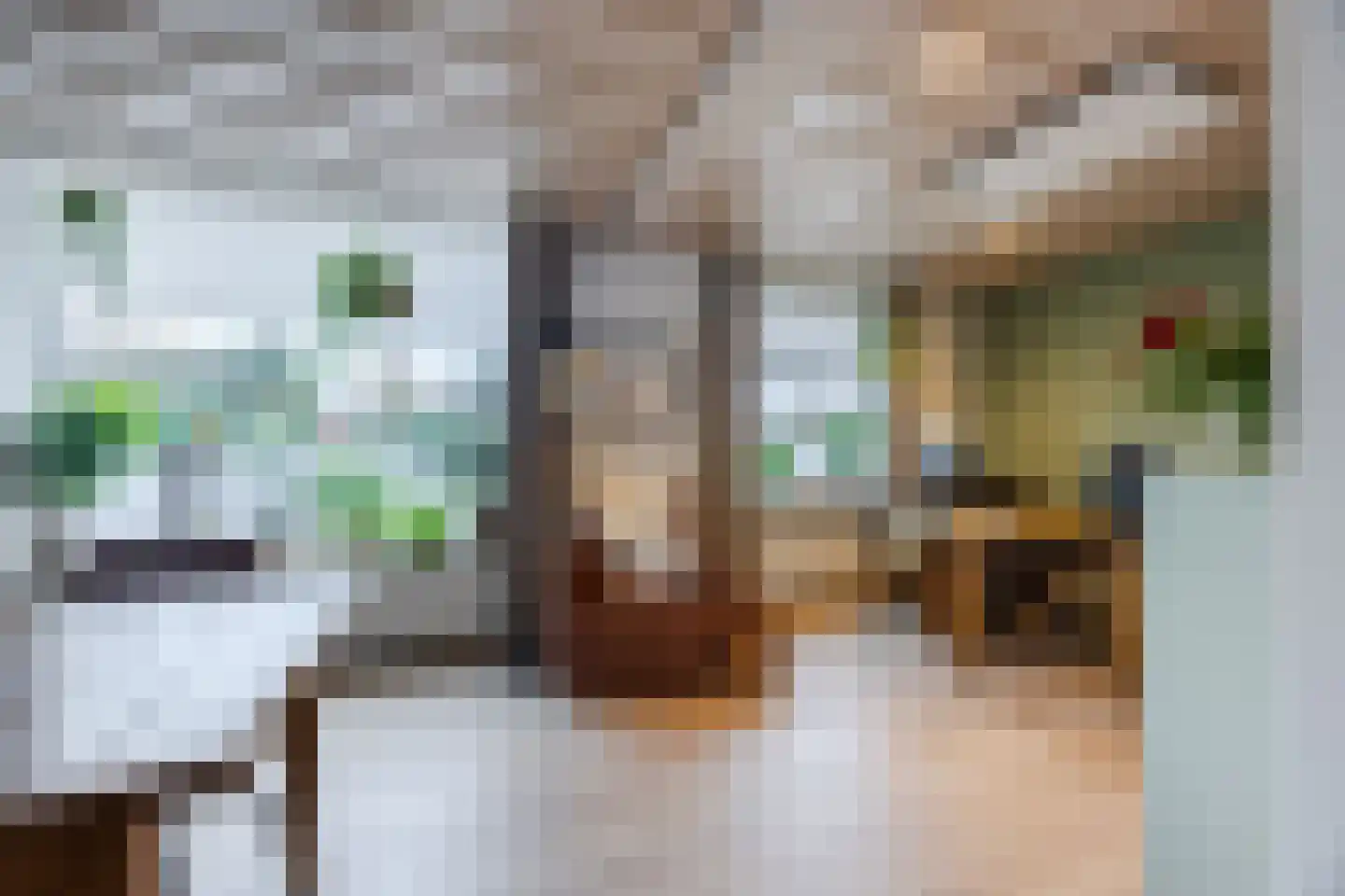 Burg Thijssenstraat 27 Beers NB thumbnail 9
