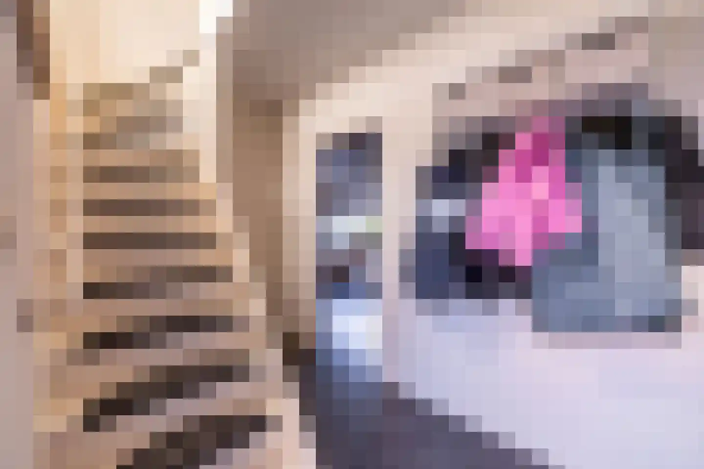 Burg. Tonckensweg 7 Paterswolde thumbnail 10