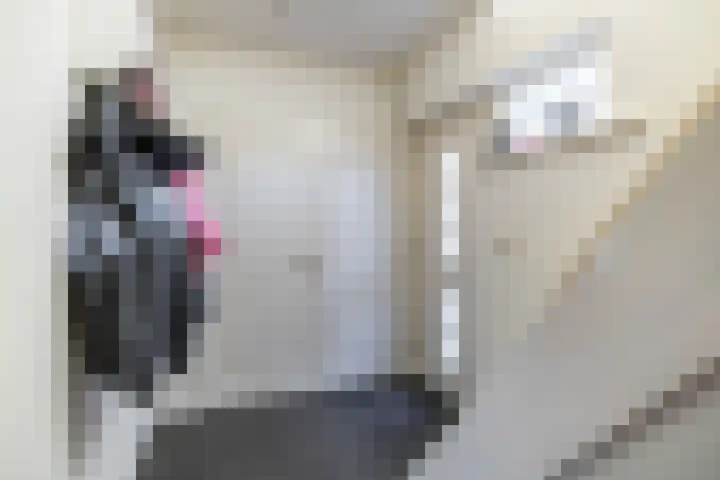 Burg. Tonckensweg 7 Paterswolde thumbnail 11