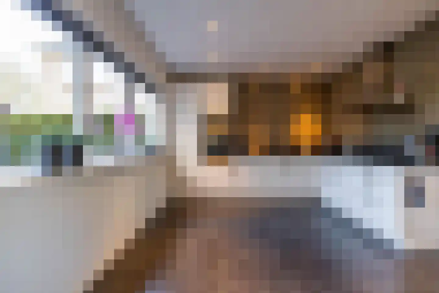 Burg. Tonckensweg 7 Paterswolde thumbnail 21