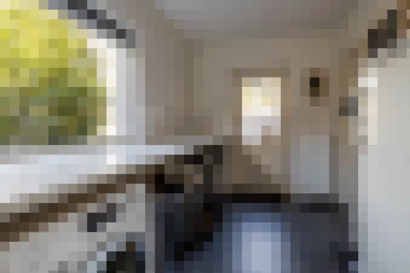 Burg. Tonckensweg 7 Paterswolde thumbnail 25
