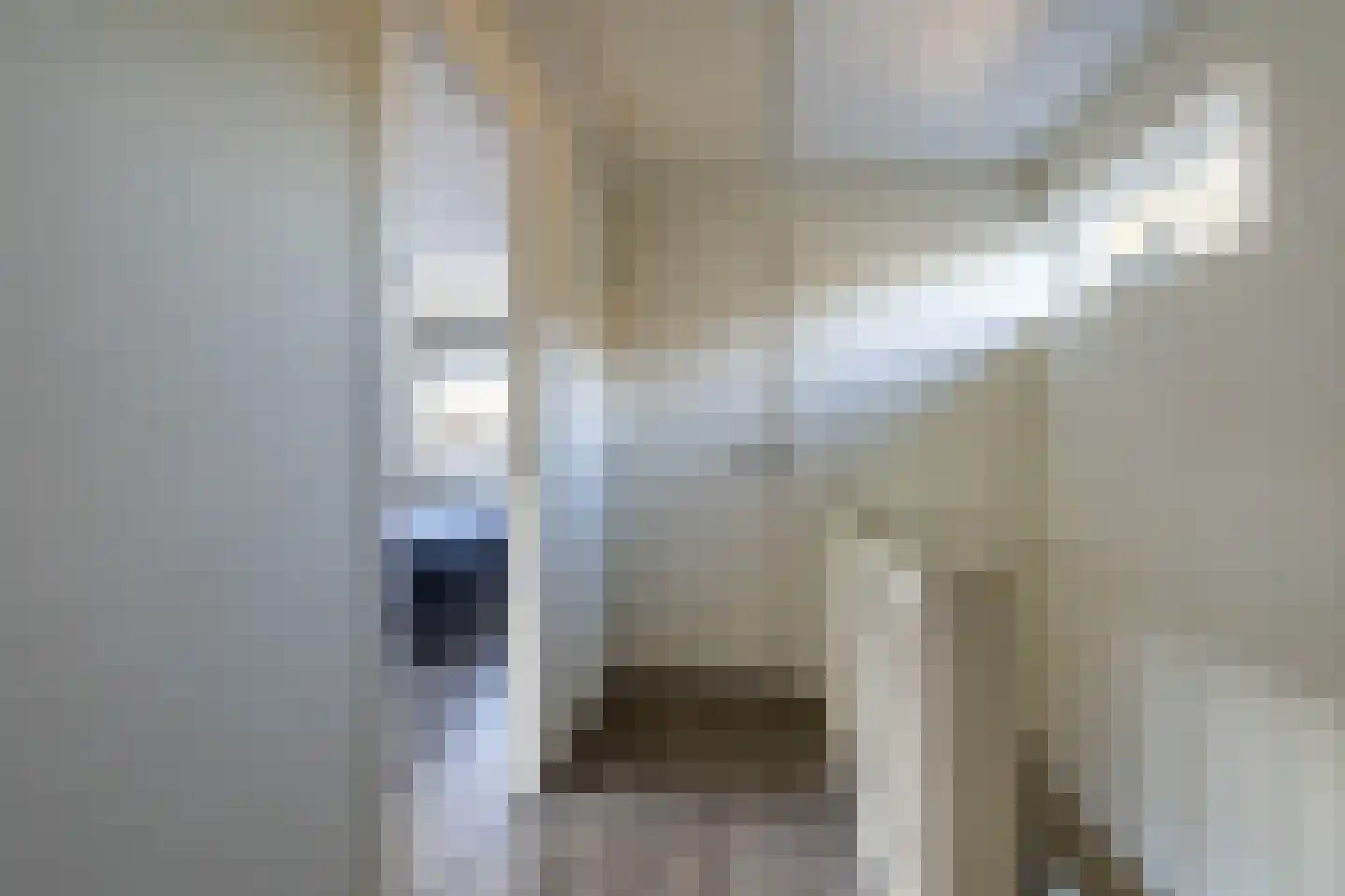 Burg. Tonckensweg 7 Paterswolde thumbnail 27