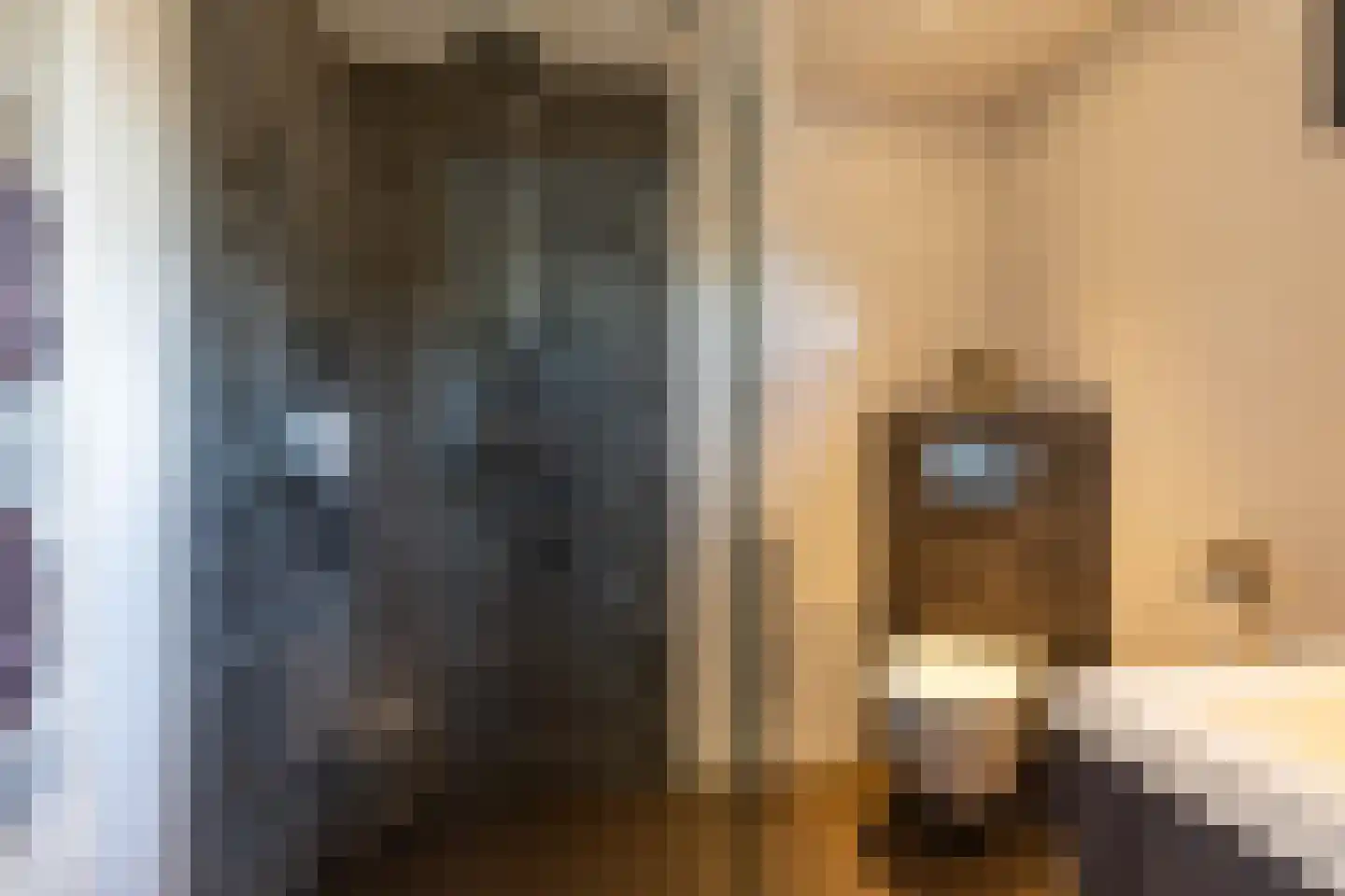 Burg. Tonckensweg 7 Paterswolde thumbnail 30