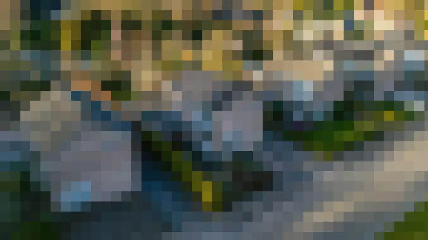 Burg. Tonckensweg 7 Paterswolde thumbnail 45