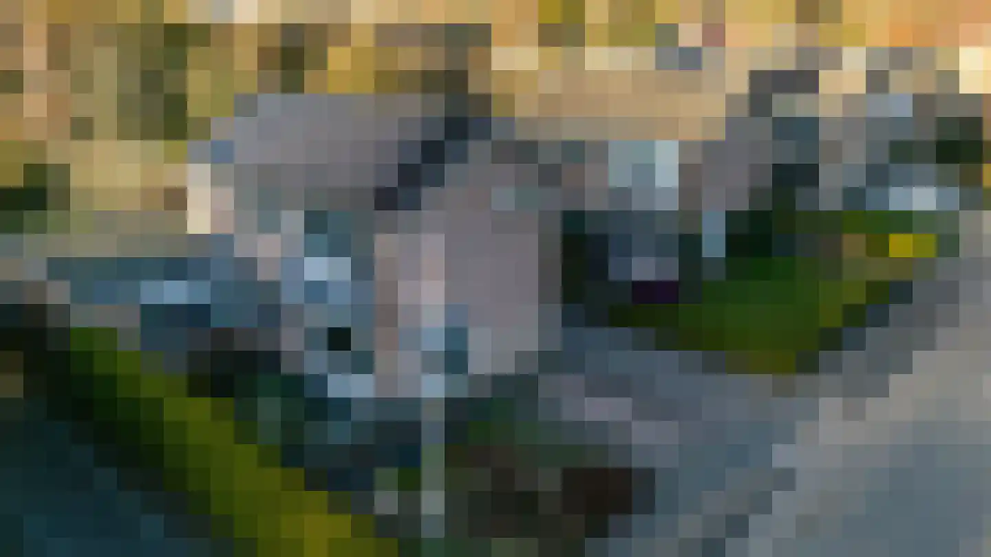 Burg. Tonckensweg 7 Paterswolde thumbnail 47