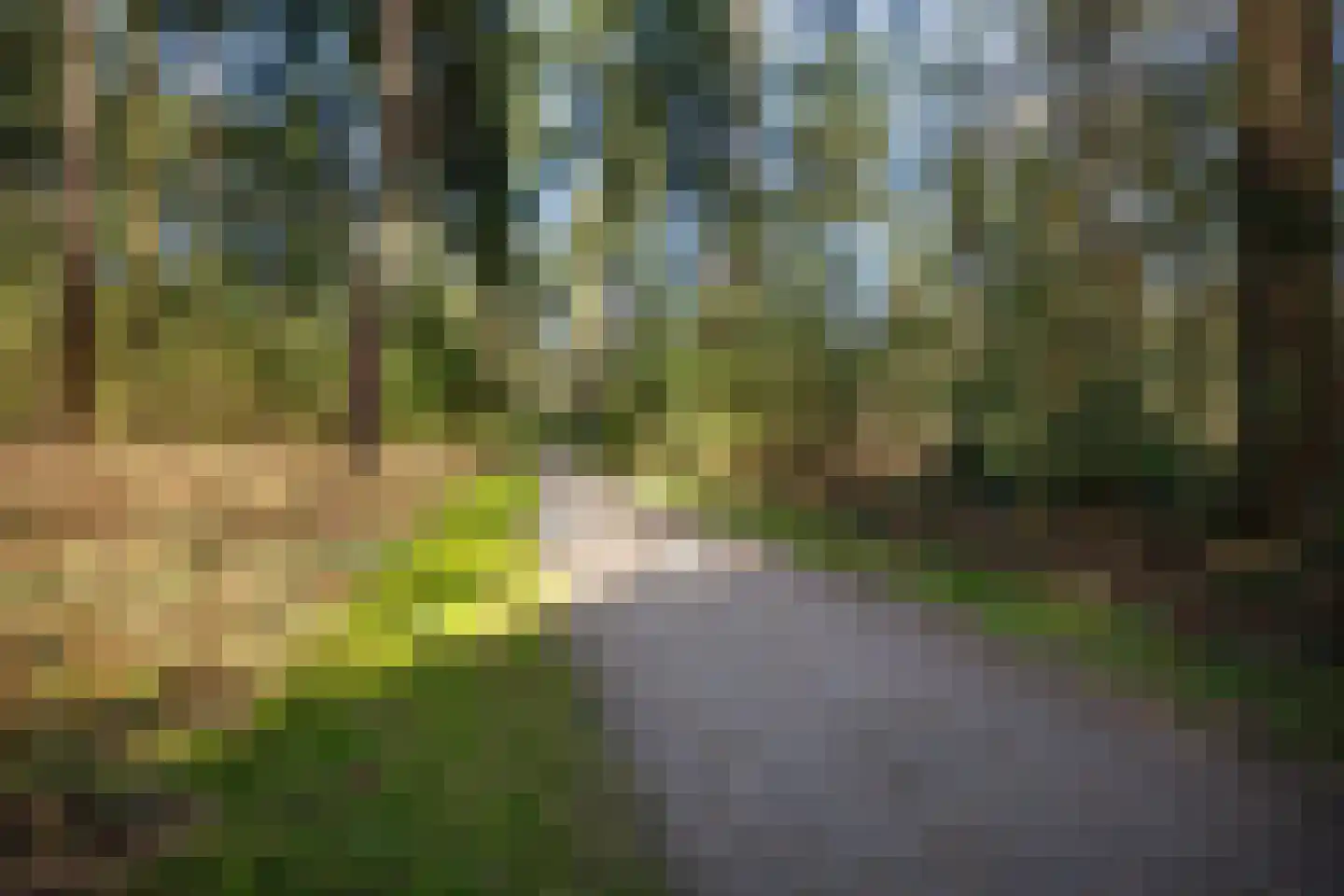 Burg. Tonckensweg 7 Paterswolde thumbnail 52