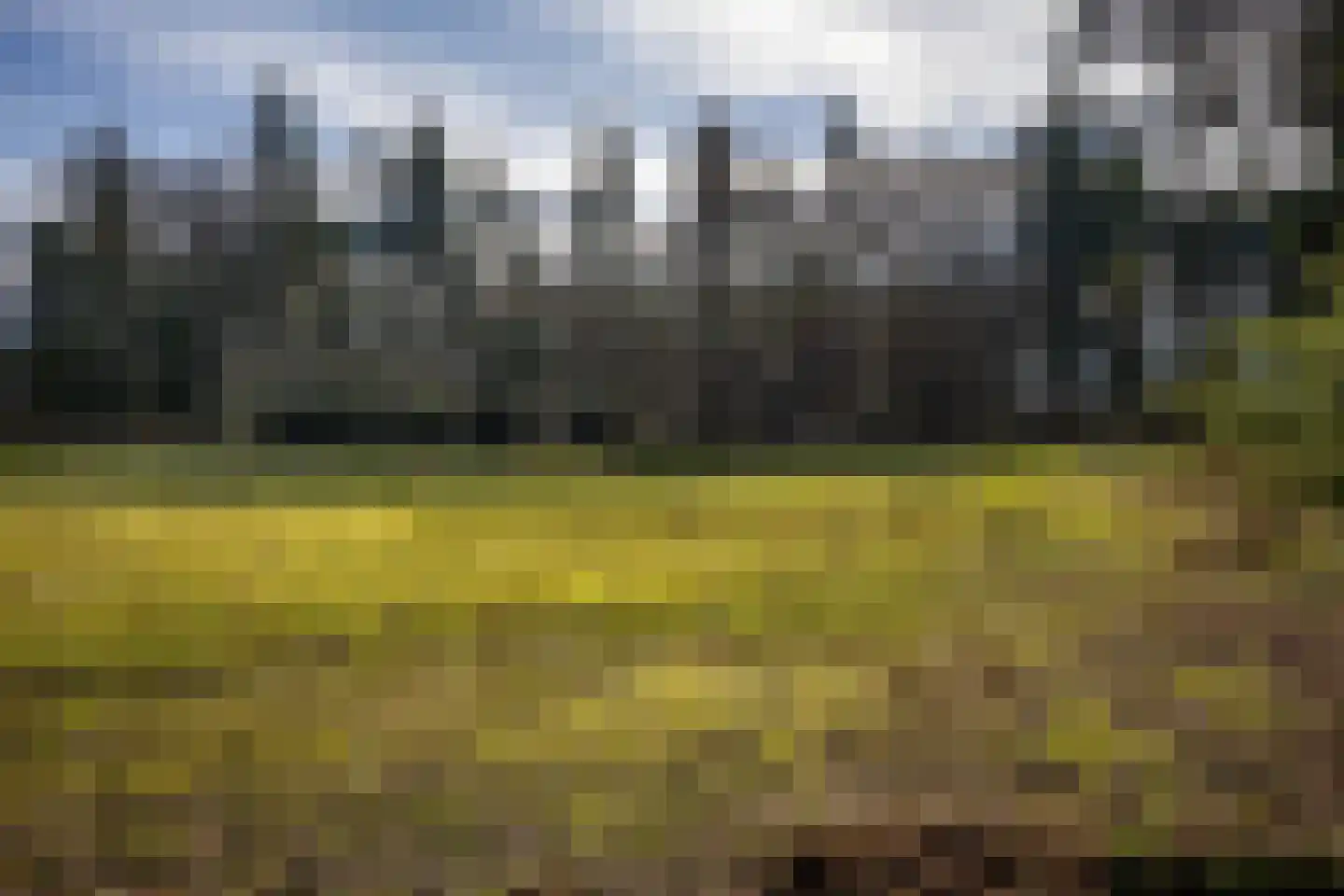 Burg. Tonckensweg 7 Paterswolde thumbnail 53