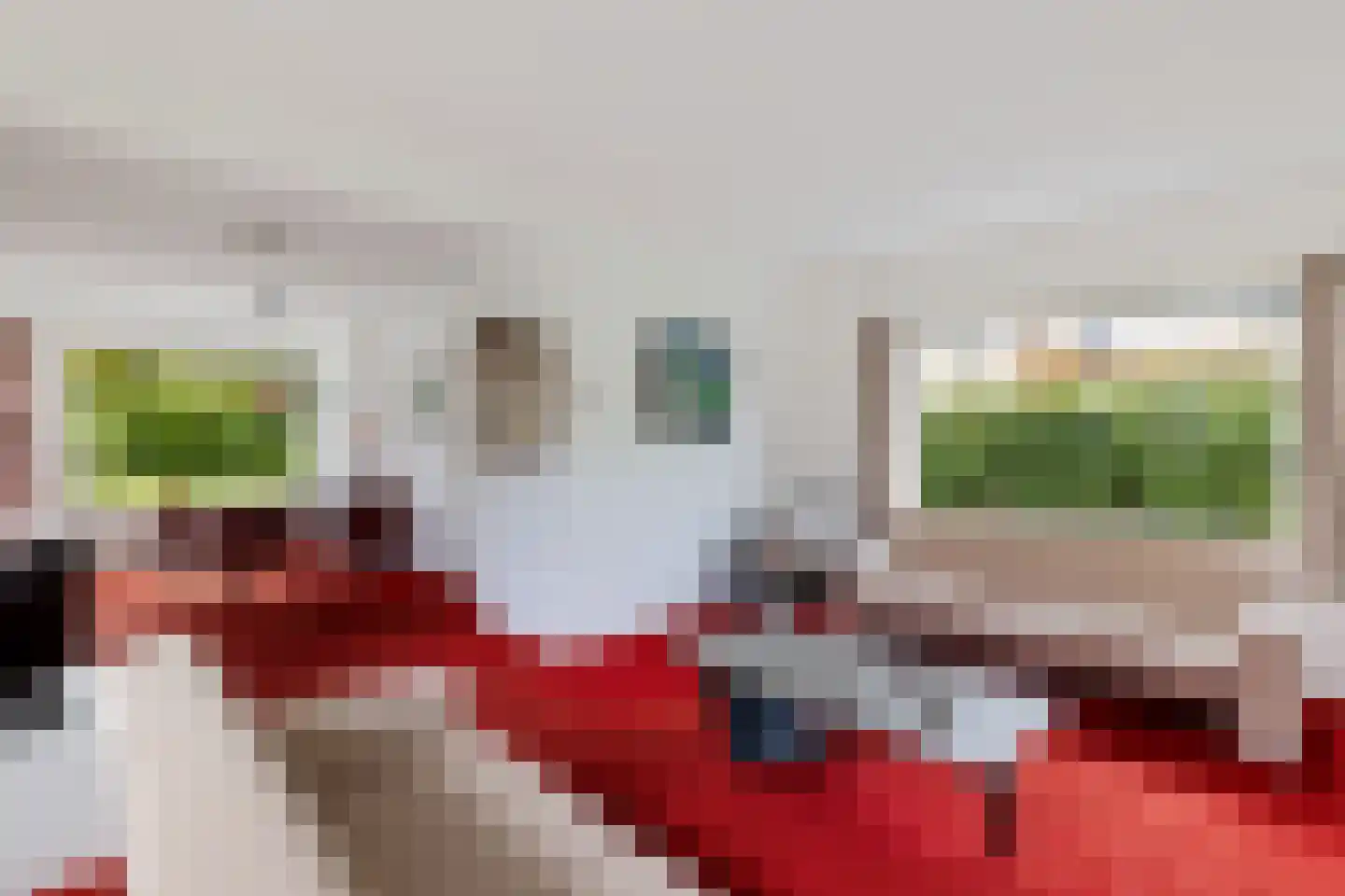 Burg. Tonckensweg 9 Paterswolde thumbnail 10