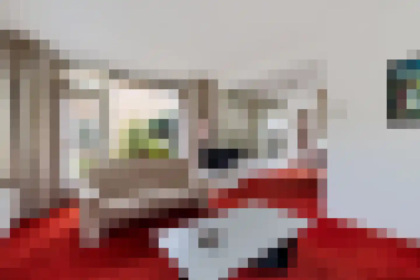 Burg. Tonckensweg 9 Paterswolde thumbnail 11