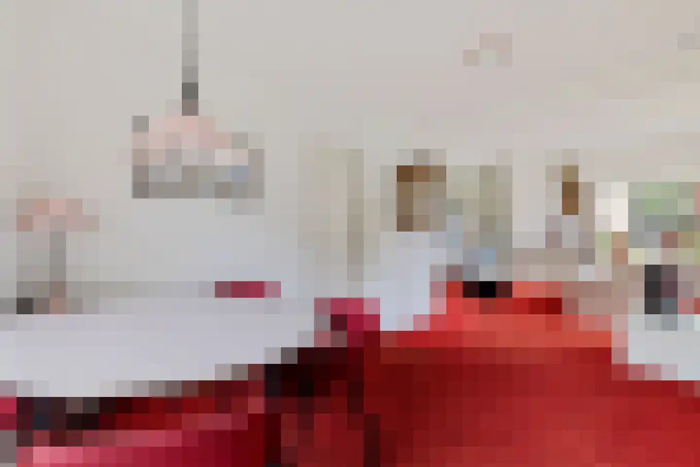 Burg. Tonckensweg 9 Paterswolde thumbnail 12