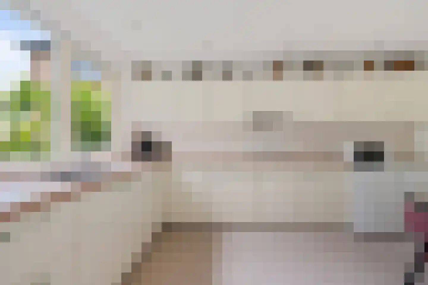 Burg. Tonckensweg 9 Paterswolde thumbnail 13