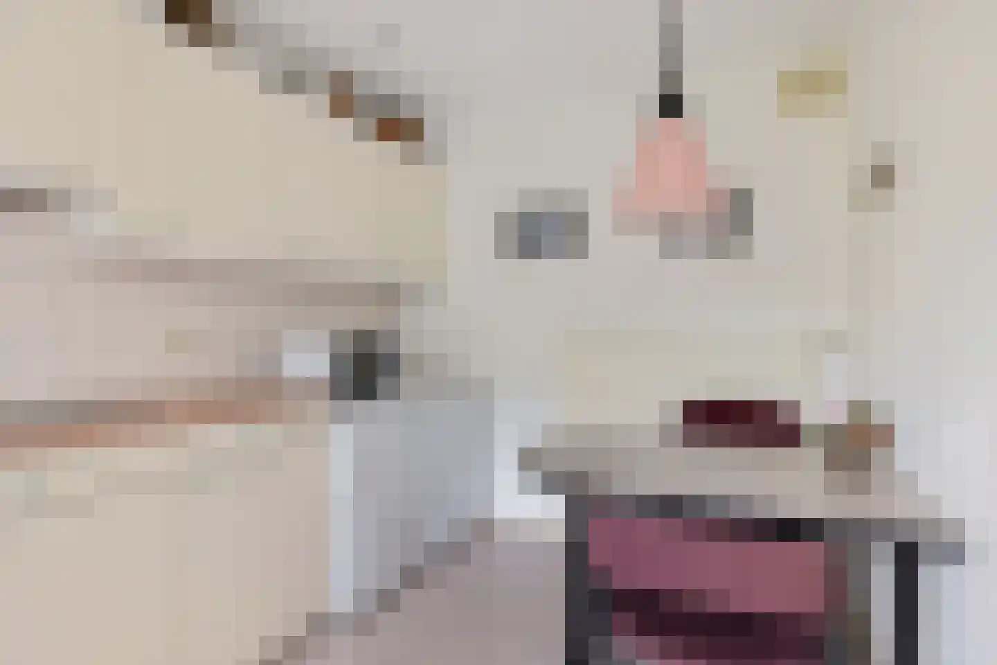 Burg. Tonckensweg 9 Paterswolde thumbnail 14