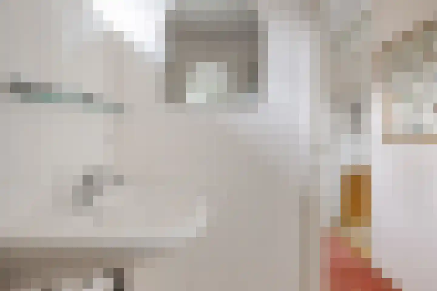 Burg. Tonckensweg 9 Paterswolde thumbnail 25