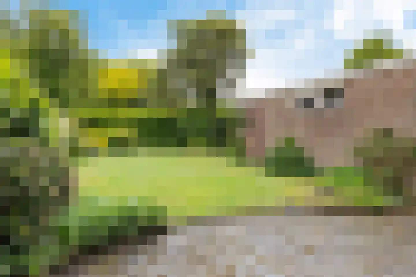 Burg. Tonckensweg 9 Paterswolde thumbnail 27