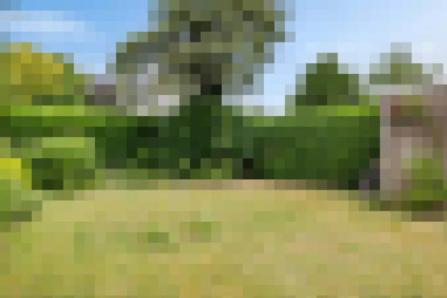 Burg. Tonckensweg 9 Paterswolde thumbnail 30