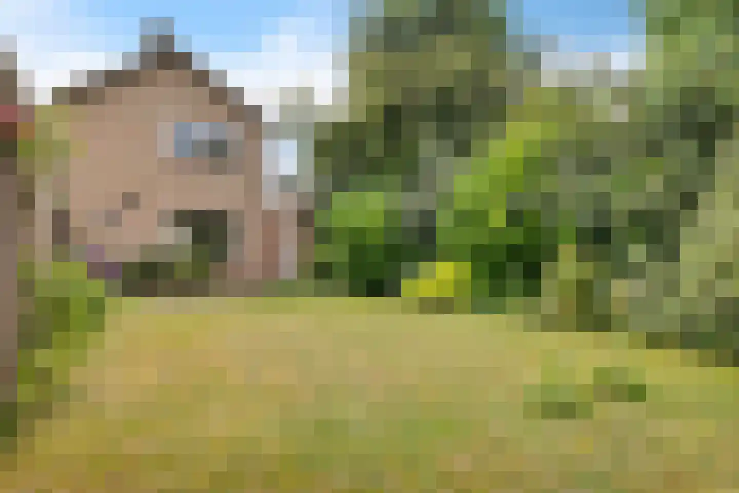 Burg. Tonckensweg 9 Paterswolde thumbnail 32