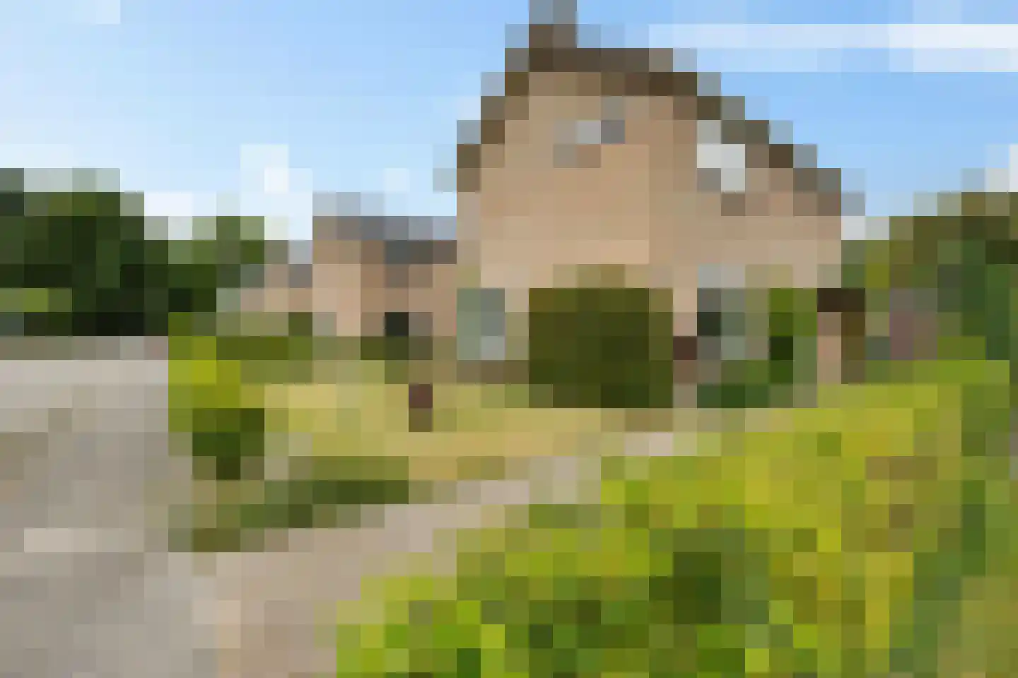 Burg. Tonckensweg 9 Paterswolde thumbnail 4