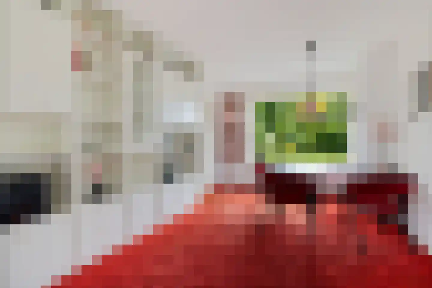 Burg. Tonckensweg 9 Paterswolde thumbnail 8
