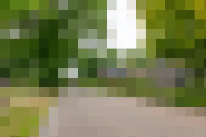 Burg Tonkensstraat 1 A Zweeloo thumbnail 11