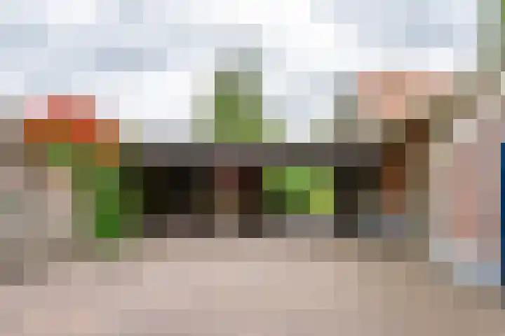 Burg Tonkensstraat 1 A Zweeloo thumbnail 12