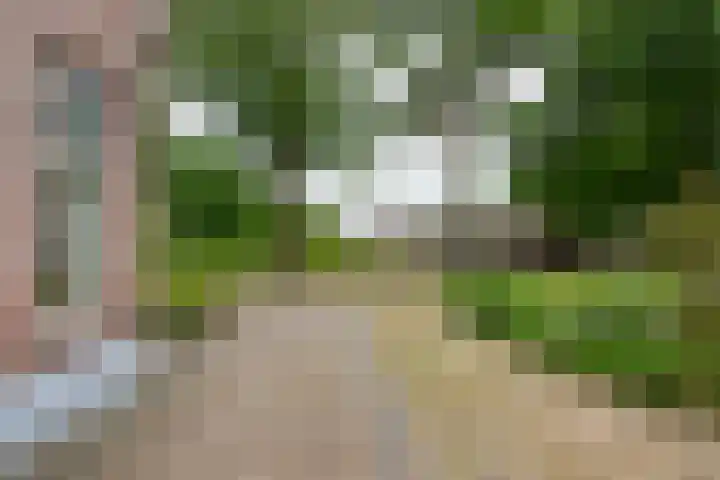 Burg Tonkensstraat 1 A Zweeloo thumbnail 13