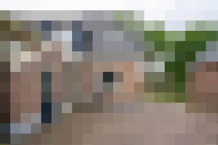 Burg Tonkensstraat 1 A Zweeloo thumbnail 15