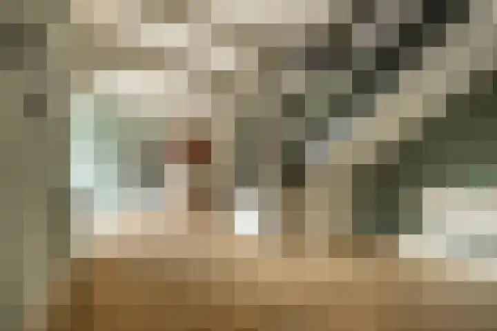 Burg Tonkensstraat 1 A Zweeloo thumbnail 17