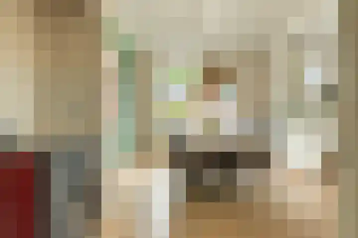 Burg Tonkensstraat 1 A Zweeloo thumbnail 20