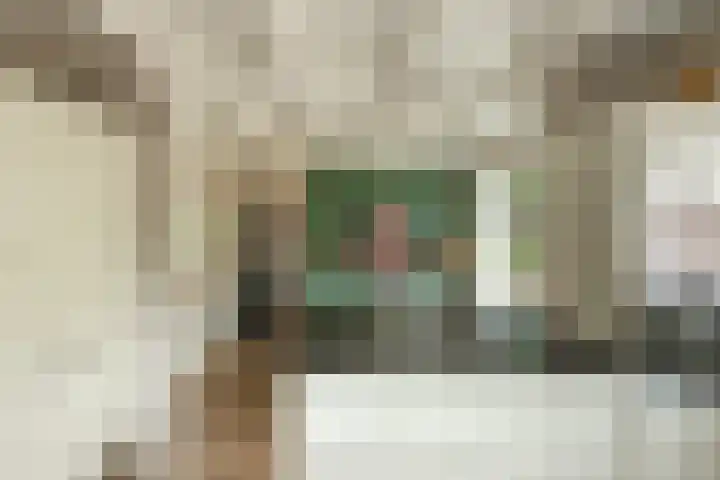 Burg Tonkensstraat 1 A Zweeloo thumbnail 23