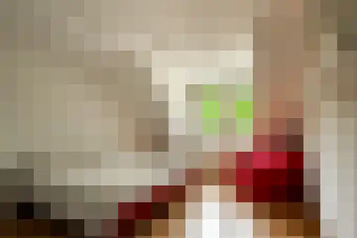 Burg Tonkensstraat 1 A Zweeloo thumbnail 32