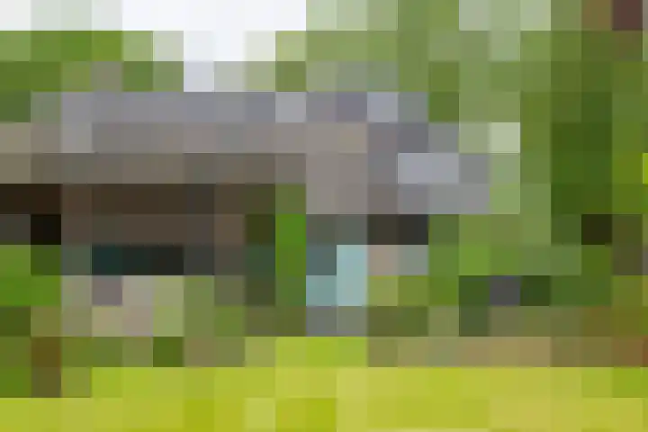 Burg Tonkensstraat 1 A Zweeloo thumbnail 37