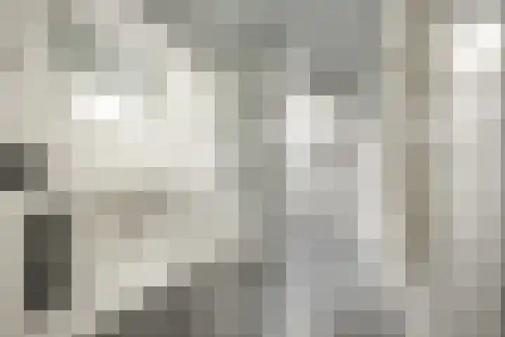Burg Tonkensstraat 1 A Zweeloo thumbnail 4