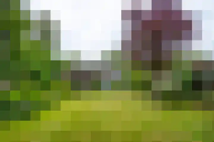 Burg Tonkensstraat 1 A Zweeloo thumbnail 42