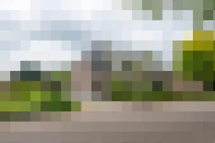Burg Tonkensstraat 1 A Zweeloo thumbnail 8